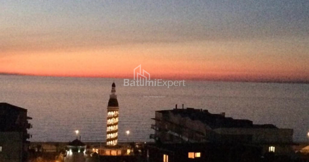 דירה 50 מ"ר - ניקו פירוסמני, Batumi, גאורגיה