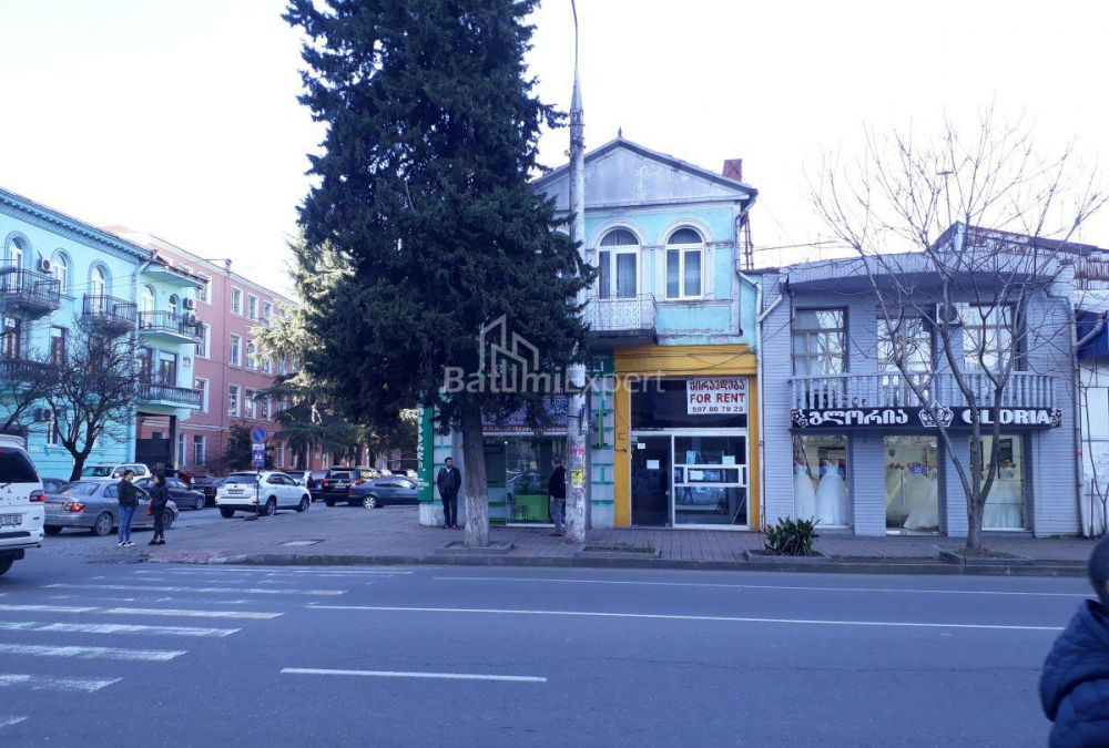 דירה 240 מ"ר - איליה צ'בצ'וואדזה, Batumi, גאורגיה