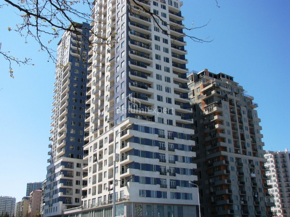 דירה 43 מ"ר - ניקו פירוסמני, Batumi, גאורגיה