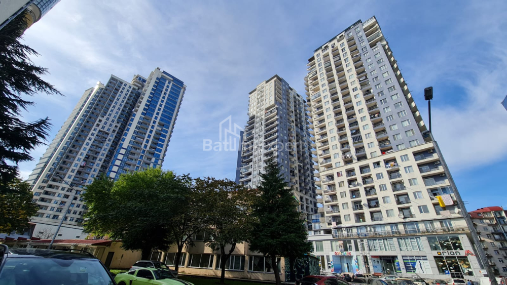 דירה 53 מ"ר - ניקו פירוסמני, Batumi, גאורגיה