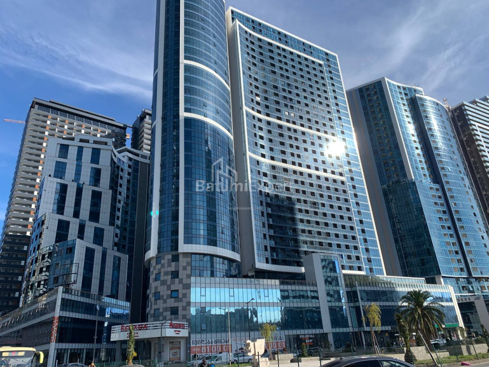 דירה 48 מ"ר - ניקו פירוסמני, Batumi, גאורגיה