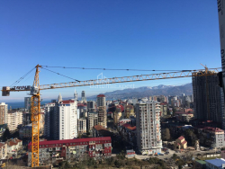 דירה 48 מ"ר - ניקו פירוסמני, Batumi, גאורגיה