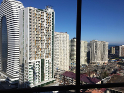 דירה 48 מ"ר - ניקו פירוסמני, Batumi, גאורגיה