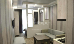 דירה 1-комн 33 m² - ניקו פירוסמני, Batumi
