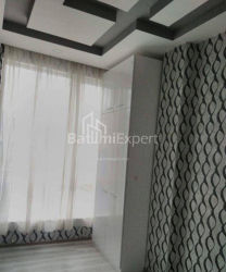 דירה 60 מ"ר - ניקו פירוסמני, Batumi, גאורגיה