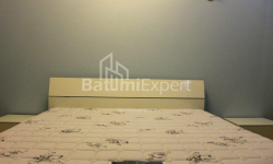 דירה 160 מ"ר - איליה צ'בצ'וואדזה, Batumi, גאורגיה