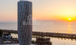 דירה 1-комн 30 m² - זוראבה גורגילדזה, Batumi