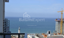 דירה 1-комн 33 m² - ניקו פירוסמני, Batumi