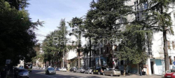 דירה 3-комн 61 m² - ניקולוז בראטאשווילי, Batumi