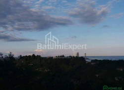חלקת אדמה 300 m² - יוריבסקאיה, Batumi