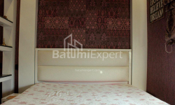 דירה 160 מ"ר - איליה צ'בצ'וואדזה, Batumi, גאורגיה
