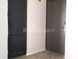 דירה 2-комн 48 m² - אלכסנדרה פושקין, Batumi