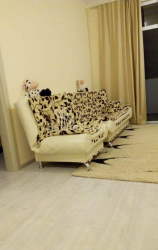 דירה 2-комн 55 m² - מיכאיל לרמונטוב, Batumi