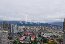 דירה 45 מ"ר - זוראבה גורגילדזה, Batumi, גאורגיה