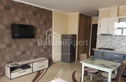 דירה 1-комн 33 m² - שריף חימשיאשווילי, Batumi