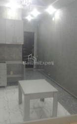 דירה 1-комн 32 m² - ניקו פירוסמני, Batumi