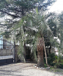 דירה 52 מ"ר - יוריבסקאיה, Batumi, גאורגיה