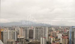 דירה 43 מ"ר - ניקו פירוסמני, Batumi, גאורגיה