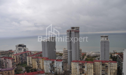 דירה 43 מ"ר - ניקו פירוסמני, Batumi, גאורגיה