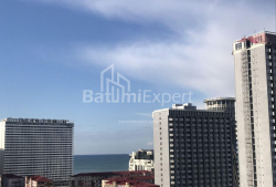 דירה 3-комн 53 m² - ניקו פירוסמני, Batumi