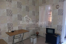 דירה 1-комн 60 m² - אלכסנדרה פושקין, Batumi