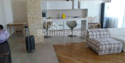 דירה 160 מ"ר - איליה צ'בצ'וואדזה, Batumi, גאורגיה