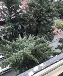 דירה 70 מ"ר - יוריבסקאיה, Batumi, גאורגיה