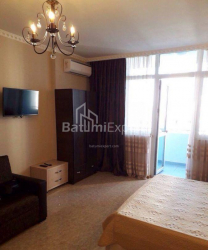 דירה 1-комн 43 m² - ניקו פירוסמני, Batumi