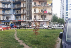 דירה 1-комн 286 m² - שריף חימשיאשווילי, Batumi