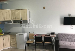 דירה 1-комн 38 m² - יוריבסקאיה, Batumi