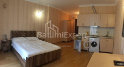 דירה 1-комн 33 m² - שריף חימשיאשווילי, Batumi