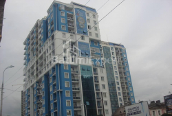 דירה 1-комн 239 m² - ניקו פירוסמני, Batumi