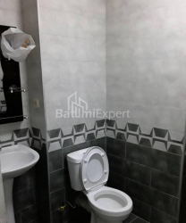 דירה 1-комн 31 m² - ניקו פירוסמני, Batumi