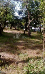 דירה 4-комн 259 m² - יוריבסקאיה, Batumi