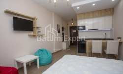 דירה 33 מ"ר - שריף חימשיאשווילי, Batumi, גאורגיה