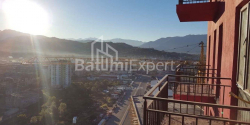 דירה 1-комн 28 m² - פטרה בגרציוני, Batumi