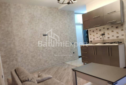 דירה 40 מ"ר - ניקו פירוסמני, Batumi, גאורגיה