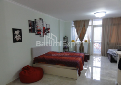 דירה 50 מ"ר - ניקו פירוסמני, Batumi, גאורגיה