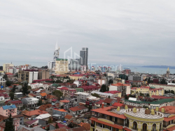 דירה 120 מ"ר - איליה צ'בצ'וואדזה, Batumi, גאורגיה