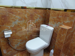 דירה 1-комн 33 m² - ניקו פירוסמני, Batumi