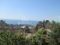 בית פרטי 4000 מ"ר - דוד אגמשנבלי, Kobuleti, גאורגיה