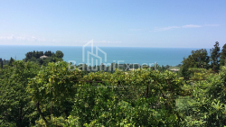 בית פרטי 4000 מ"ר - דוד אגמשנבלי, Kobuleti, גאורגיה
