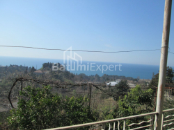 בית פרטי 6-комн 4000 m² - דוד אגמשנבלי, Kobuleti