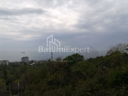 חלקת אדמה 1000 m² - אחלגזרדובה, Makhinjauri