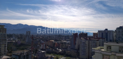 דירה 1-комн 31.3 m² - שלווה אינסרידזה, Batumi