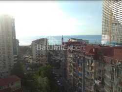 דירה 38 מ"ר - ניקו פירוסמני, בטומי, גאורגיה
