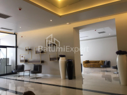 דירה 1-комн 33 m² - שריף חימשיאשווילי, Batumi