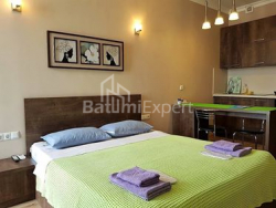 דירה 1-комн 29 m² - זוראבה גורגילדזה, Batumi