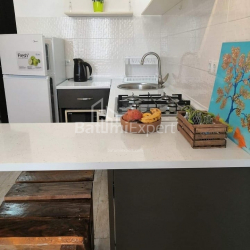 דירה 1-комн 29 m² - זוראבה גורגילדזה, Batumi