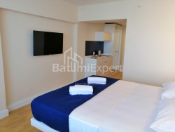 דירה 1-комн 30 m² - שריף חימשיאשווילי, Batumi